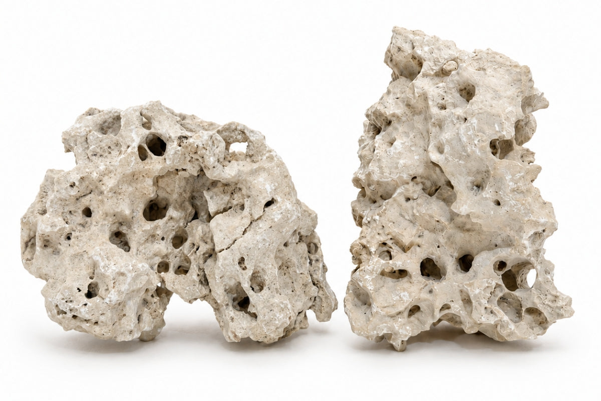 Texas Holey Rock (Per kilogram)